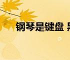 钢琴是键盘 黑管是什么（黑管是什么）