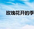 玫瑰花开的季节文案（玫瑰花开的季节）