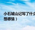 小石城山记写了什么内容（小石城山记表达了作者怎样的思想感情）