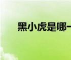黑小虎是哪一部（黑小虎传奇的剧情）
