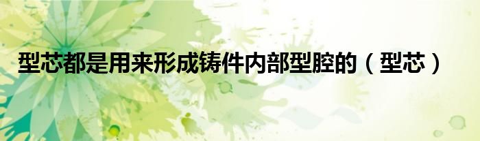 型芯都是用来形成铸件内部型腔的（型芯）