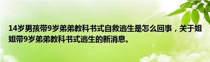 14岁男孩带9岁弟弟教科书式自救逃生是怎么回事，关于姐姐带9岁弟弟教科书式逃生的新消息。