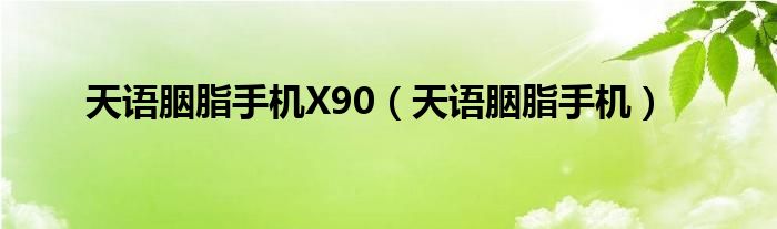 天语胭脂手机X90（天语胭脂手机）