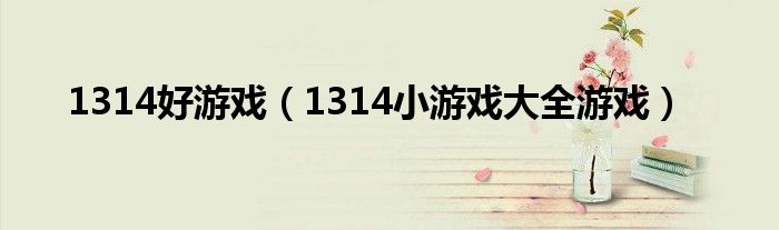 1314好游戏（1314小游戏大全游戏）