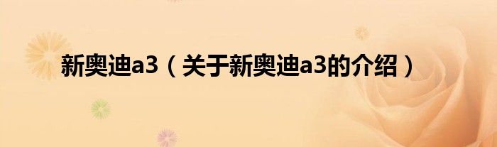 新奥迪a3（关于新奥迪a3的介绍）