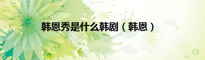 韩恩秀是什么韩剧（韩恩）