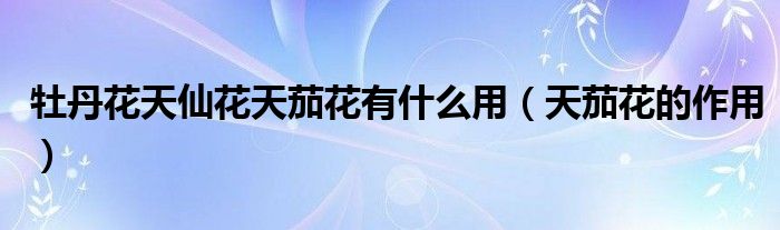 牡丹花天仙花天茄花有什么用（天茄花的作用）