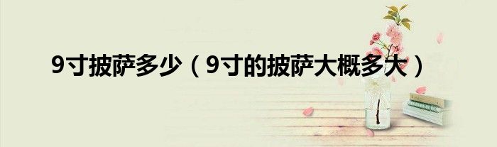 9寸披萨多少（9寸的披萨大概多大）