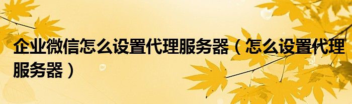 企业微信怎么设置代理服务器（怎么设置代理服务器）