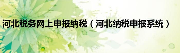 河北税务网上申报纳税（河北纳税申报系统）