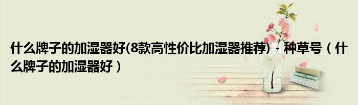 什么牌子的加湿器好(8款高性价比加湿器推荐) - 种草号（什么牌子的加湿器好）