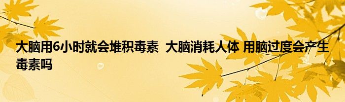 大脑用6小时就会堆积毒素 大脑消耗人体 用脑过度会产生毒素吗