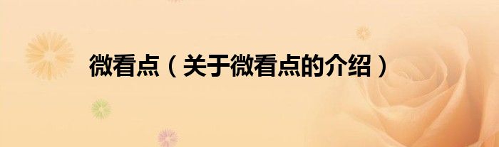 微看点（关于微看点的介绍）