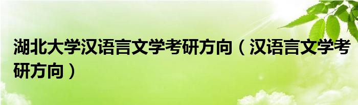 湖北大学汉语言文学考研方向（汉语言文学考研方向）