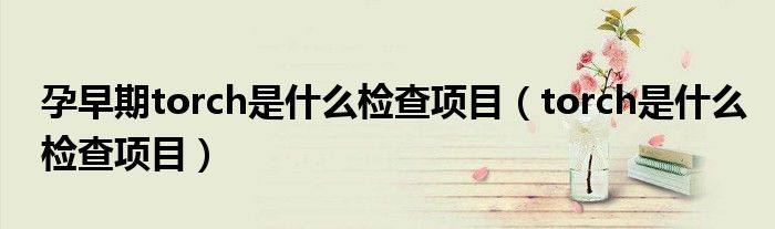 孕早期torch是什么检查项目（torch是什么检查项目）