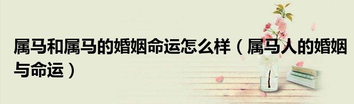 属马和属马的婚姻命运怎么样（属马人的婚姻与命运）