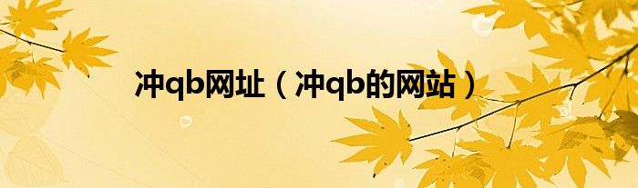 冲qb网址（冲qb的网站）