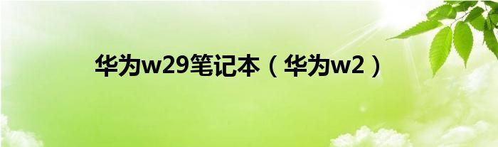 华为w29笔记本（华为w2）