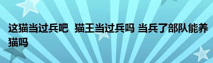 这猫当过兵吧 猫王当过兵吗 当兵了部队能养猫吗
