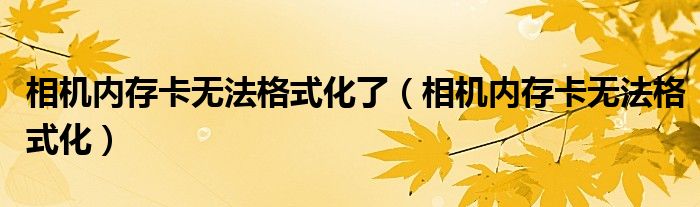 相机内存卡无法格式化了（相机内存卡无法格式化）
