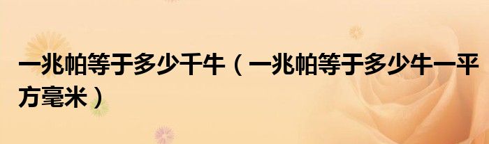一兆帕等于多少千牛（一兆帕等于多少牛一平方毫米）
