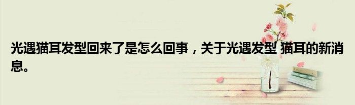 光遇猫耳发型回来了是怎么回事，关于光遇发型 猫耳的新消息。