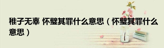稚子无辜 怀璧其罪什么意思（怀璧其罪什么意思）