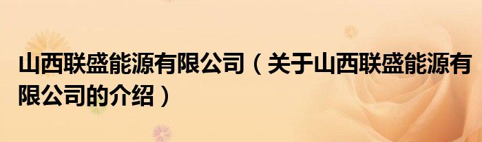 山西联盛能源有限公司（关于山西联盛能源有限公司的介绍）