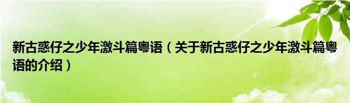 新古惑仔之少年激斗篇粤语（关于新古惑仔之少年激斗篇粤语的介绍）