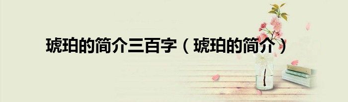 琥珀的简介三百字（琥珀的简介）