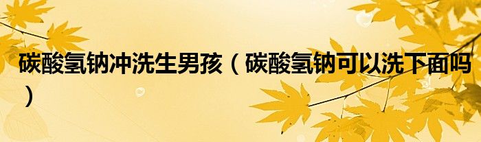 碳酸氢钠冲洗生男孩（碳酸氢钠可以洗下面吗）