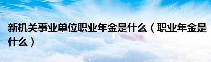 新机关事业单位职业年金是什么（职业年金是什么）
