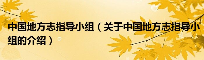 中国地方志指导小组（关于中国地方志指导小组的介绍）