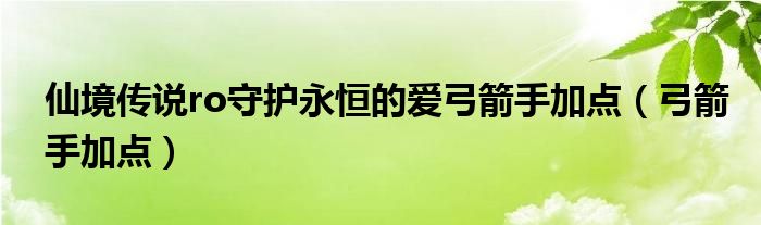 仙境传说ro守护永恒的爱弓箭手加点（弓箭手加点）