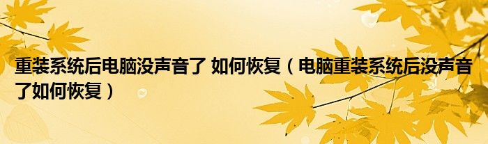 重装系统后电脑没声音了 如何恢复（电脑重装系统后没声音了如何恢复）