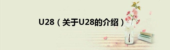 U28（关于U28的介绍）