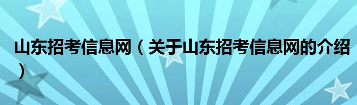 山东招考信息网（关于山东招考信息网的介绍）