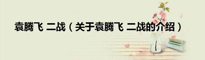 袁腾飞 二战（关于袁腾飞 二战的介绍）