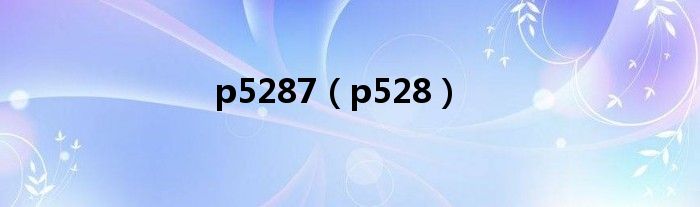 p5287（p528）