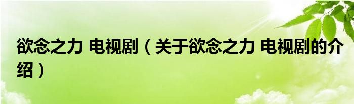 欲念之力 电视剧（关于欲念之力 电视剧的介绍）