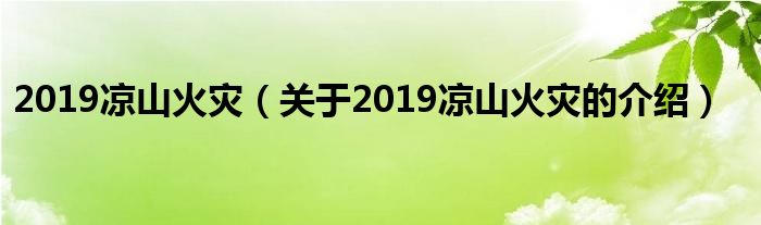 2019凉山火灾（关于2019凉山火灾的介绍）