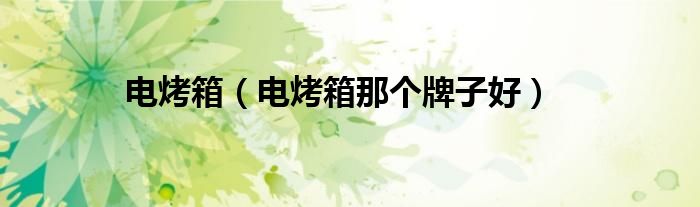电烤箱（电烤箱那个牌子好）