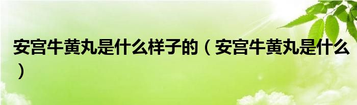 安宫牛黄丸是什么样子的（安宫牛黄丸是什么）
