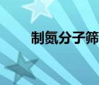 制氮分子筛是什么（分子筛是什么）