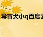 导盲犬小q百度云中字（导盲犬小q迅雷下载）