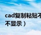 cad复制粘贴不显示 替换字体（cad复制粘贴不显示）