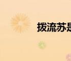 拨流苏是什么意思（拨流苏）