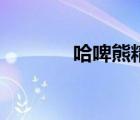 哈啤熊精酿啤酒加盟（哈啤）