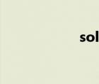 soler技术（soler）
