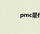 pmc是什么色卡（pms色卡）